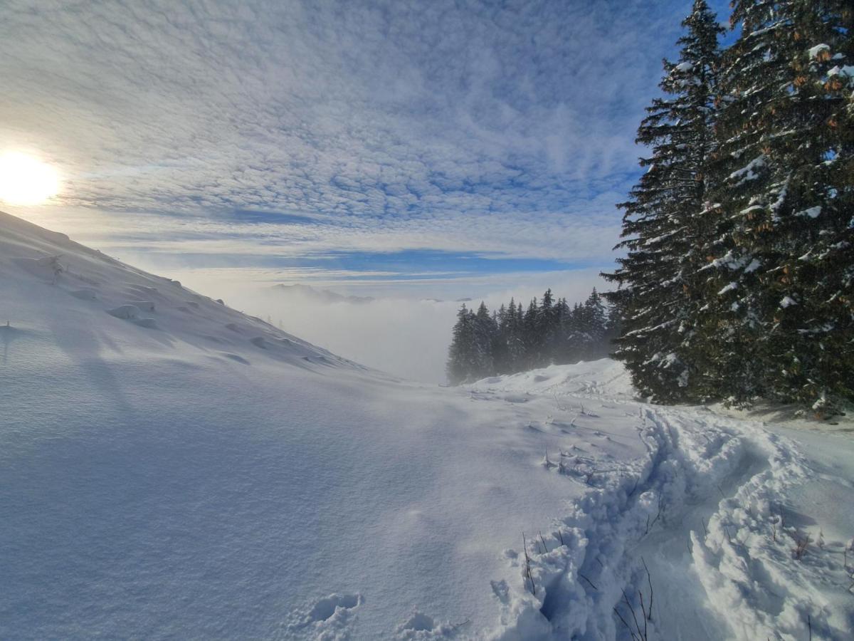 Les Lucioles Saint-Jean-de-Sixt